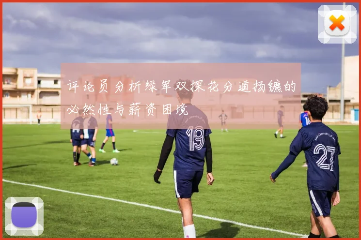 评论员分析绿军双探花分道扬镳的必然性与薪资困境